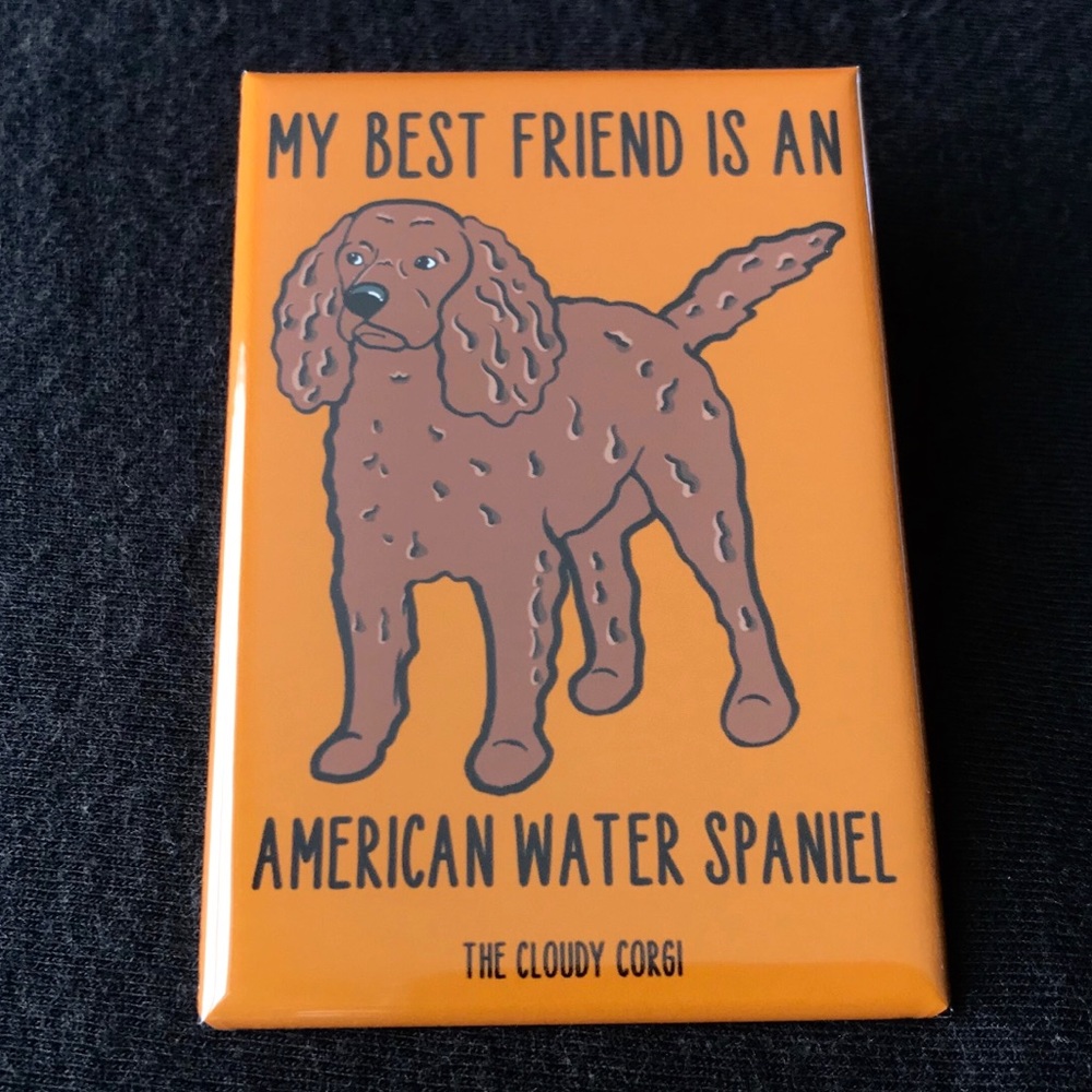 American Water Spaniel Magnet, Dog Gifts & Decor